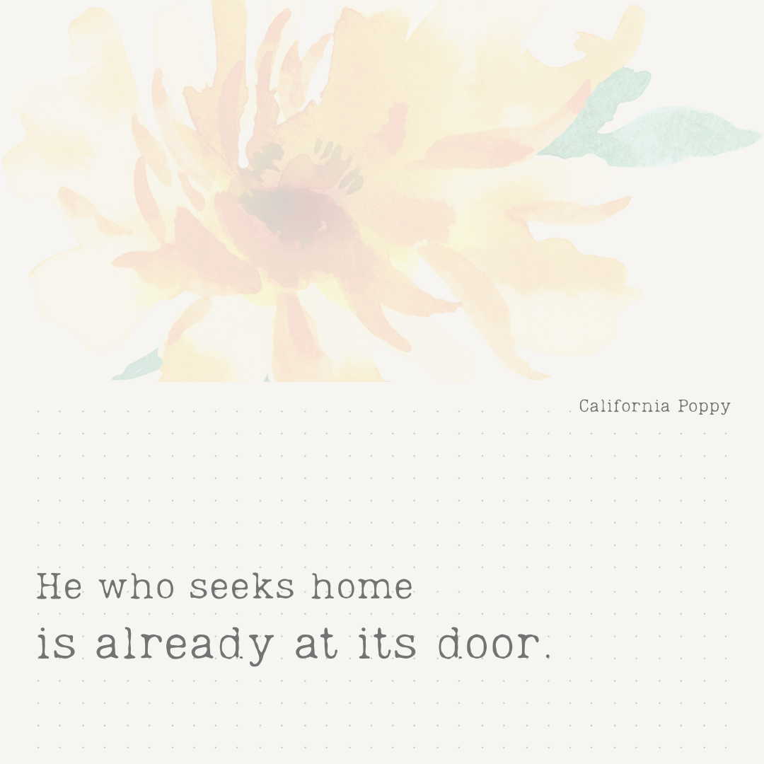 A Search for Home